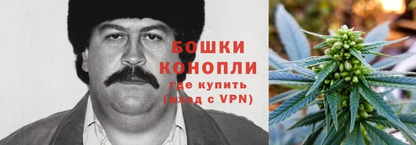крисы Верхний Тагил