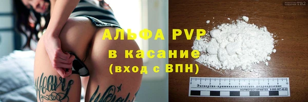 спиды Верея