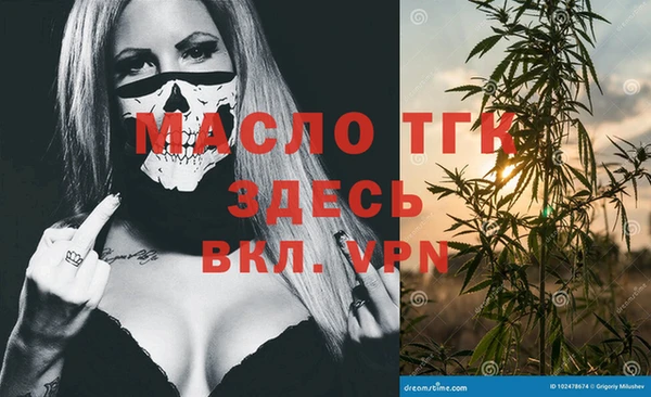 крисы Верхний Тагил