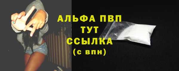 крисы Верхний Тагил