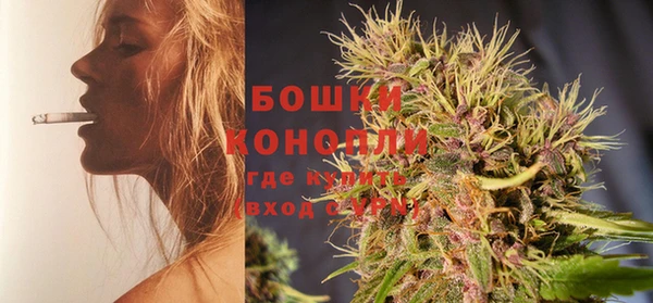 крисы Верхний Тагил
