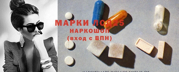 крисы Верхний Тагил