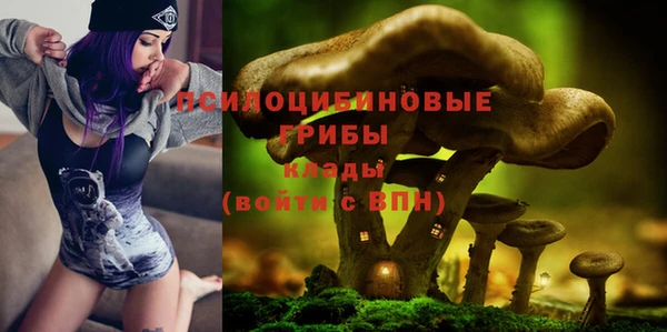 спиды Верея