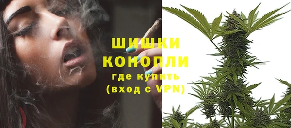 соль ск Бронницы