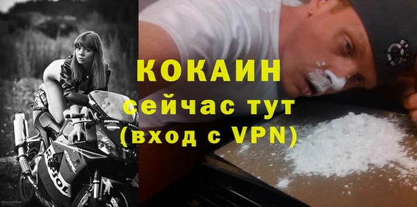 спиды Верея