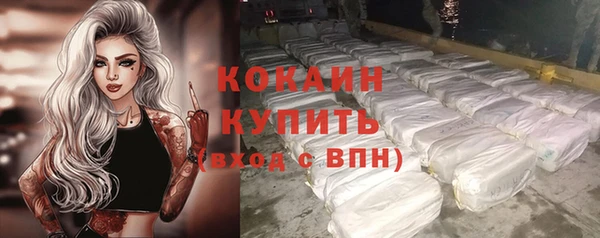 крисы Верхний Тагил